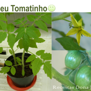 MEU TOMATINHO