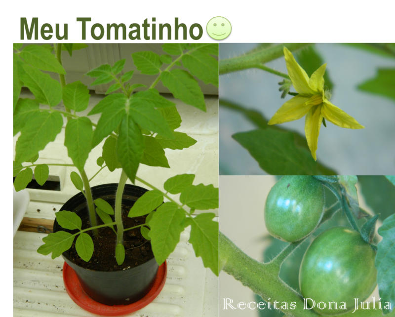 Meu tomatinho Meu tomatinho